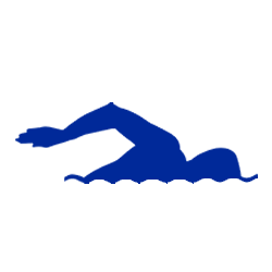 Natação