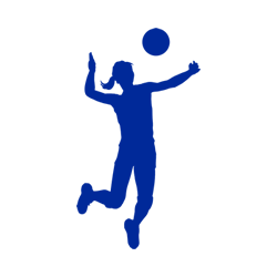 Vôlei